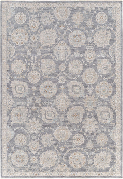 LIVABLISS Avant Garde AVT-2336 Denim Area Rug