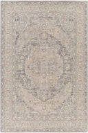 Surya Avant Garde AVT-2337 Denim Area Rug by LIVABLISS