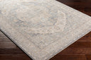 Surya Avant Garde AVT-2337 Denim Area Rug by LIVABLISS