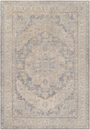 Surya Avant Garde AVT-2337 Denim Area Rug by LIVABLISS