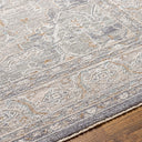 Surya Avant Garde AVT-2337 Denim Area Rug by LIVABLISS