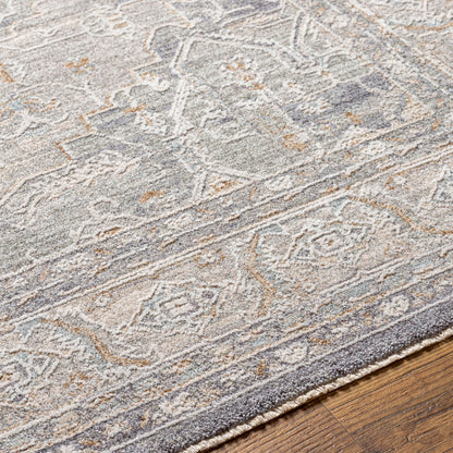 Surya Avant Garde AVT-2337 Denim Area Rug by LIVABLISS
