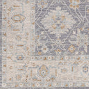 Surya Avant Garde AVT-2338 Denim Area Rug by LIVABLISS
