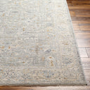 Surya Avant Garde AVT-2339 Charcoal Area Rug by LIVABLISS