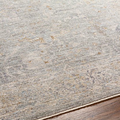 Surya Avant Garde AVT-2339 Charcoal Area Rug by LIVABLISS