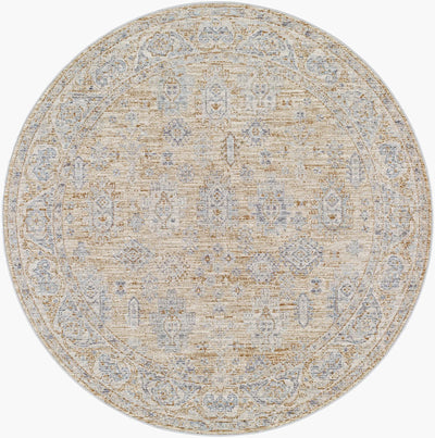 Avant Garde AVT-2340 Light-Brown Area Rug by LIVABLISS
