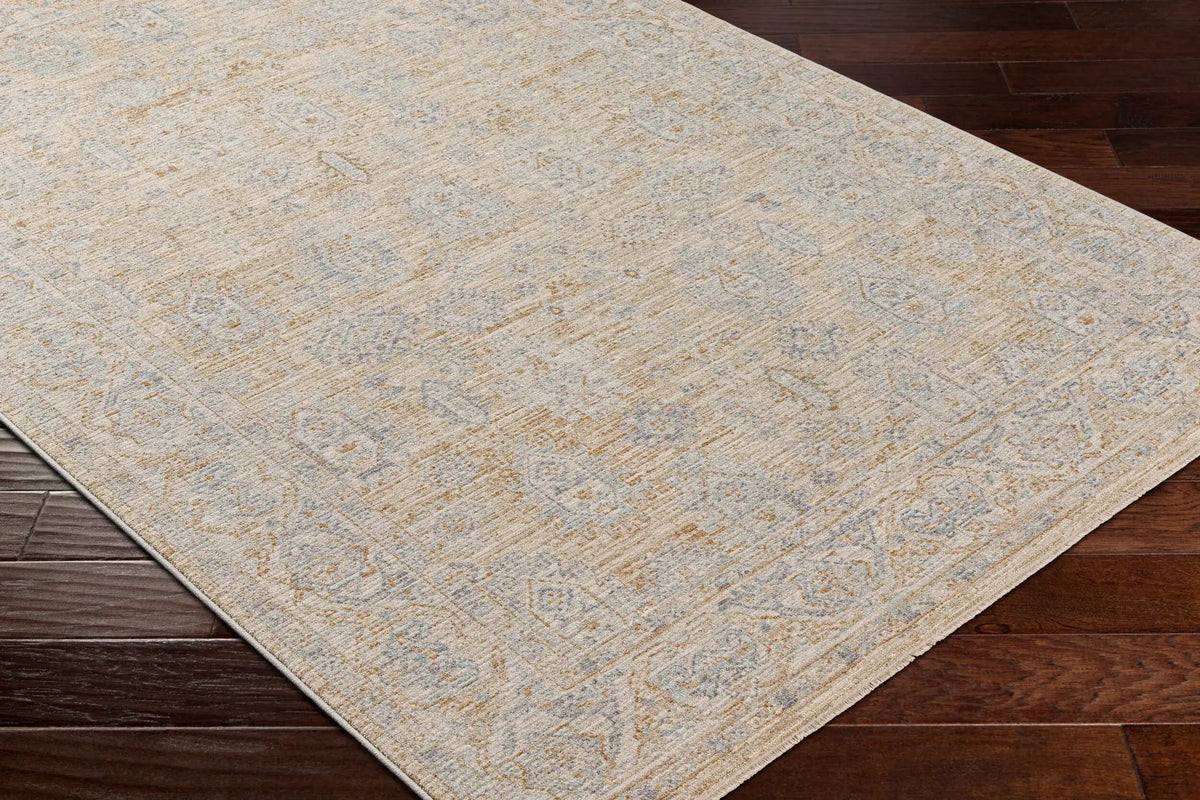 Avant Garde AVT-2340 Light-Brown Area Rug by LIVABLISS