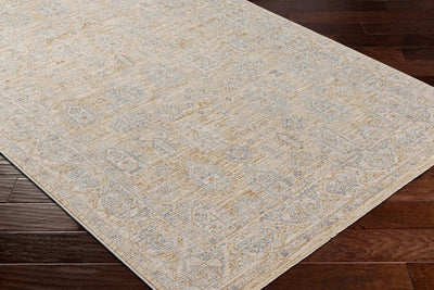 Avant Garde AVT-2340 Light-Brown Area Rug by LIVABLISS