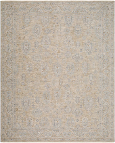 Avant Garde AVT-2340 Light-Brown Area Rug by LIVABLISS