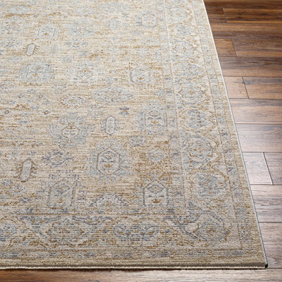 Avant Garde AVT-2340 Light-Brown Area Rug by LIVABLISS