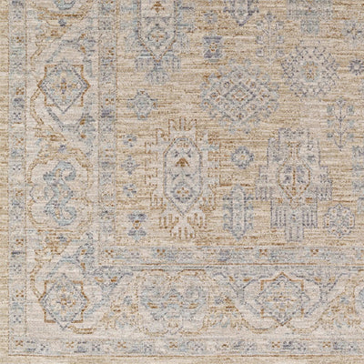 Avant Garde AVT-2340 Light-Brown Area Rug by LIVABLISS