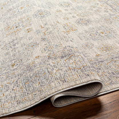 LIVABLISS Avant Garde AVT-2342 Charcoal Area Rug