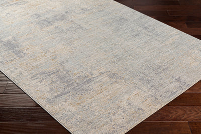 Surya Avant Garde AVT-2345 Charcoal Area Rug by LIVABLISS