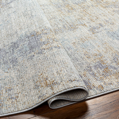 Surya Avant Garde AVT-2346 Charcoal Area Rug by LIVABLISS