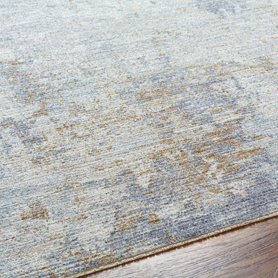 Surya Avant Garde AVT-2346 Charcoal Area Rug by LIVABLISS