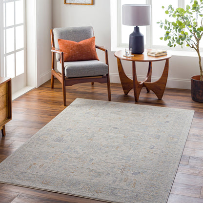 LIVABLISS Avant Garde AVT-2348 Medium-Gray Area Rug