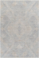 Surya Avant Garde AVT-2356 Charcoal Area Rug by LIVABLISS