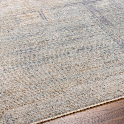 Surya Avant Garde AVT-2361 Charcoal Area Rug by LIVABLISS