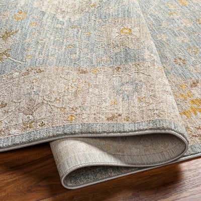LIVABLISS Avant Garde AVT-2369 Light-Blue Area Rug