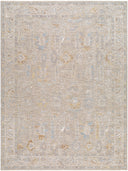 Surya Avant Garde AVT-2379 Charcoal Area Rug by LIVABLISS