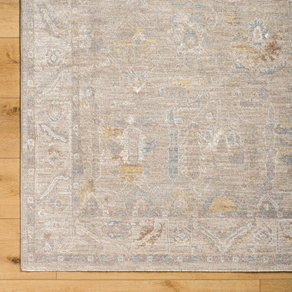 Surya Avant Garde AVT-2379 Charcoal Area Rug by LIVABLISS