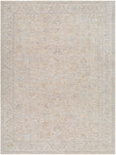 Surya Avant Garde AVT-2382 Charcoal Area Rug by LIVABLISS