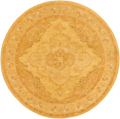 Surya Middleton AWHR-2059 Yellow Area Rug by LIVABLISS