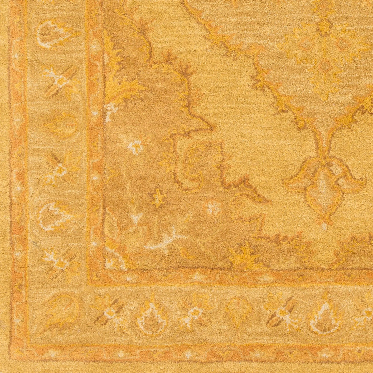 Middleton AWHR-2059 Yellow Area Rug by LIVABLISS