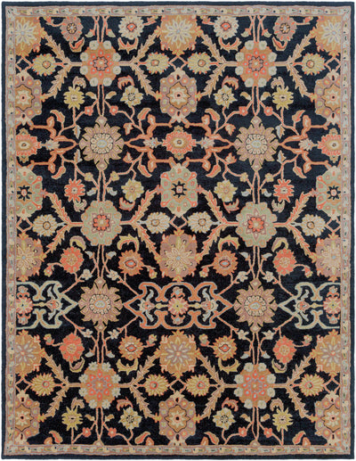 Surya Middleton AWMD-2073 Black Area Rug by LIVABLISS