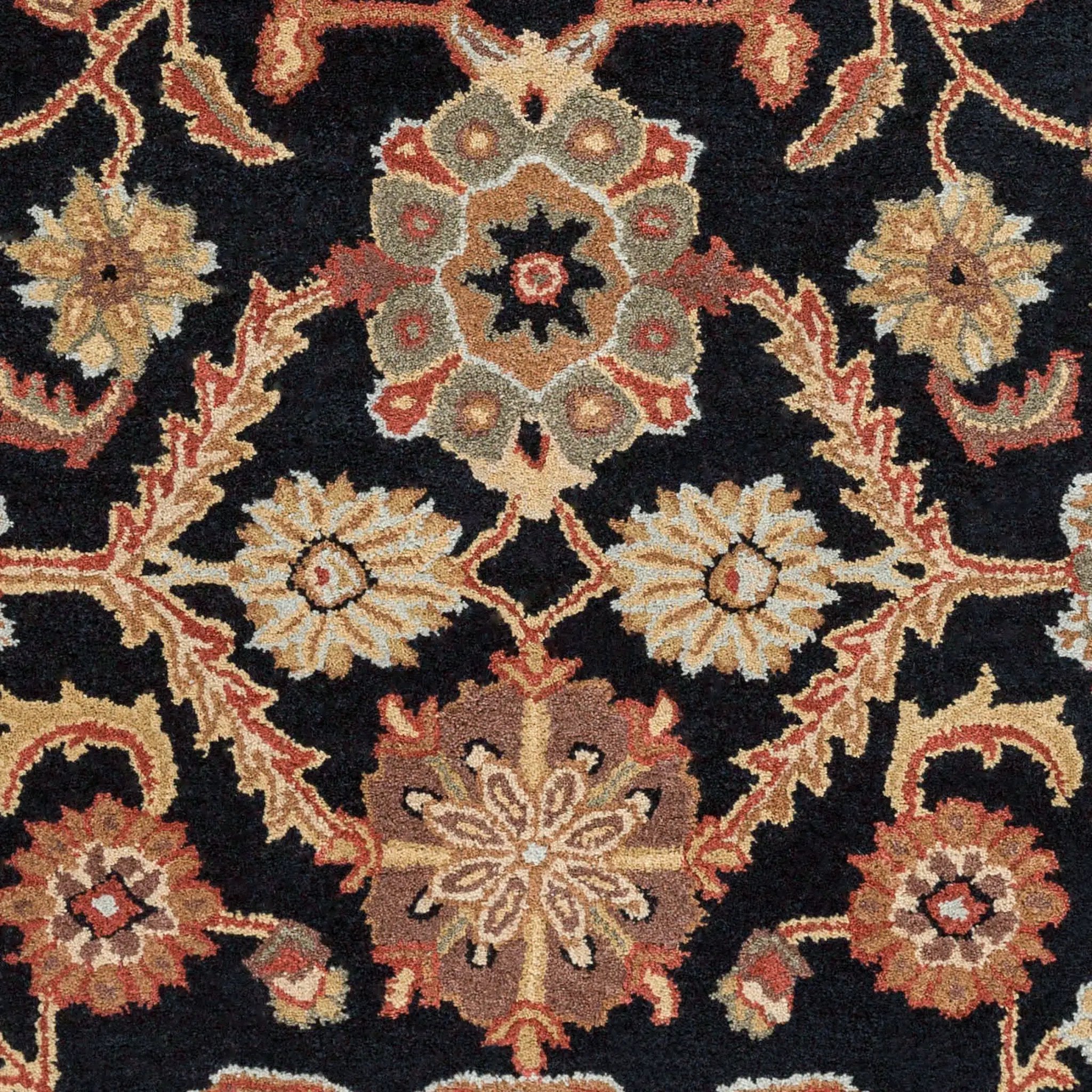 Middleton AWMD-2073 Black Area Rug by LIVABLISS