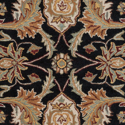 Surya Middleton AWMD-2078 Black Area Rug by LIVABLISS