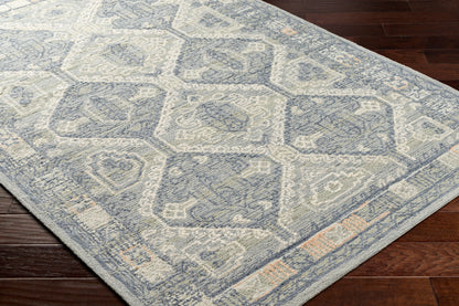 Surya Addyson AYO-2301 Blue Area Rug by LIVABLISS