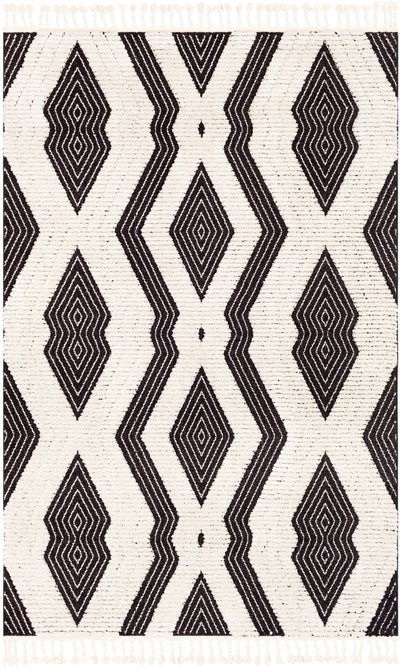 Azilal AZI-2300 Black Area Rug by LIVABLISS