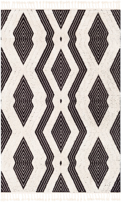Surya Azilal AZI-2300 Black Area Rug by LIVABLISS