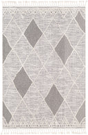 Surya Azilal AZI-2304 Gray Area Rug by LIVABLISS