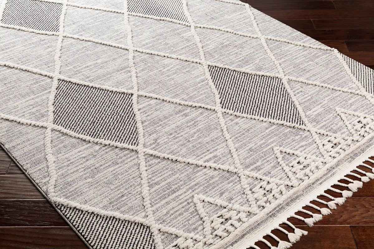Azilal AZI-2304 Gray Area Rug by LIVABLISS