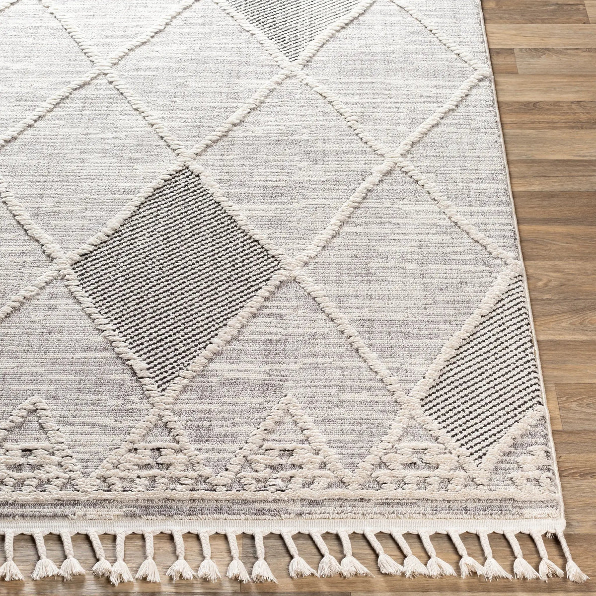 Azilal AZI-2304 Gray Area Rug by LIVABLISS