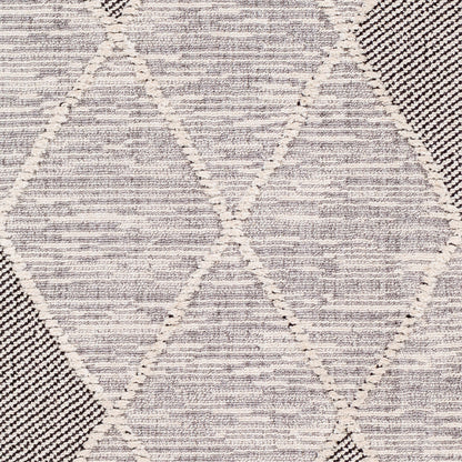 Surya Azilal AZI-2304 Gray Area Rug by LIVABLISS