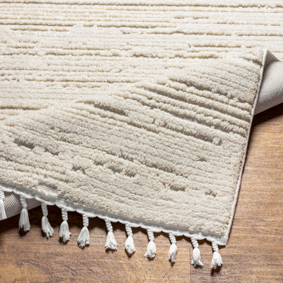 Surya Azilal AZI-2315 Ivory Area Rug by LIVABLISS