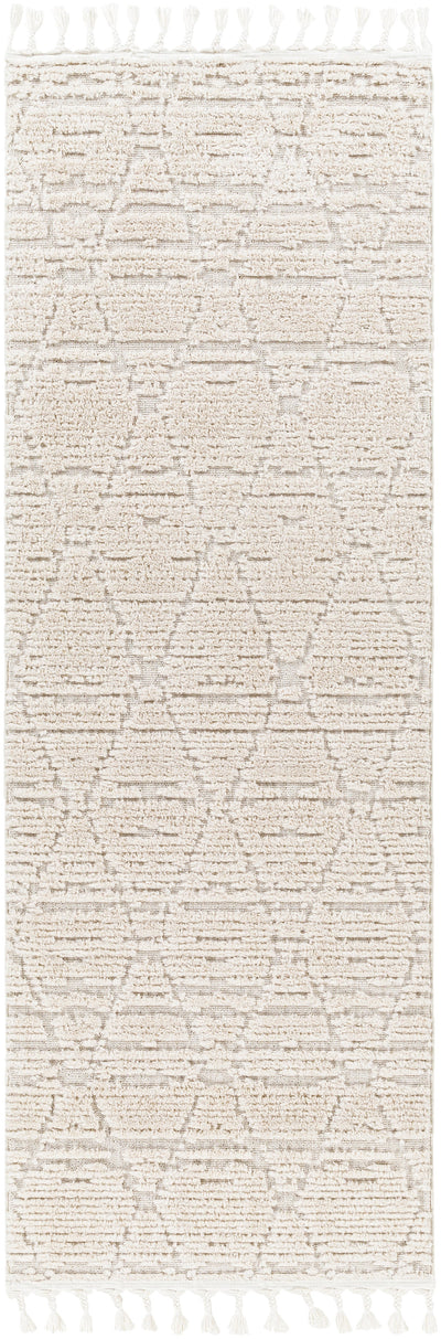 Surya Azilal AZI-2318 Ivory Area Rug by LIVABLISS