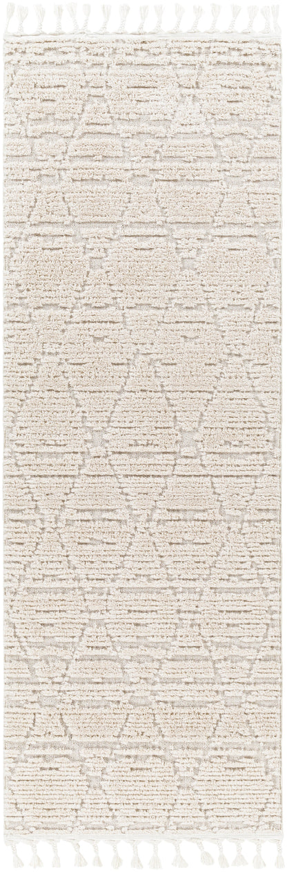 Surya Azilal AZI-2318 Ivory Area Rug by LIVABLISS