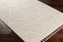 Surya Azilal AZI-2318 Ivory Area Rug by LIVABLISS