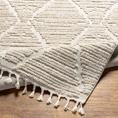 Surya Azilal AZI-2318 Ivory Area Rug by LIVABLISS