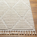 Surya Azilal AZI-2318 Ivory Area Rug by LIVABLISS