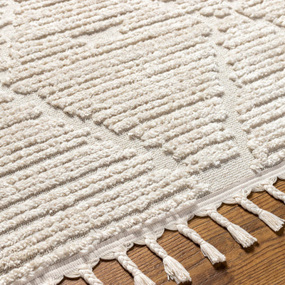 Surya Azilal AZI-2318 Ivory Area Rug by LIVABLISS