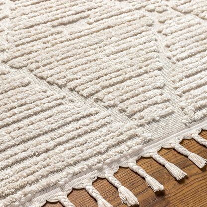 Surya Azilal AZI-2318 Ivory Area Rug by LIVABLISS