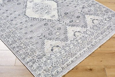 Surya Azhar AZR-2300 Pewter Area Rug by LIVABLISS