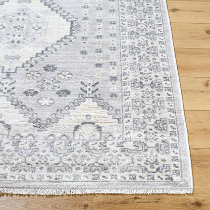 Surya Azhar AZR-2300 Pewter Area Rug by LIVABLISS