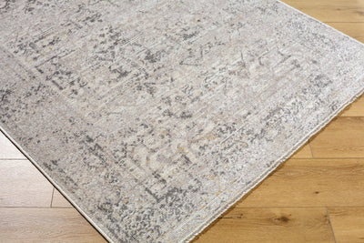 Surya Azhar AZR-2302 Pewter Area Rug by LIVABLISS