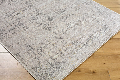 Surya Azhar AZR-2302 Pewter Area Rug by LIVABLISS